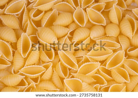 Conchiglie pasta forms create inviting kitchen atmosphere. Closeup of dried pasta shells arranged to showcase ridges and curled forms under warm golden lighting