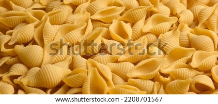 Conchiglie, Shells or Seashells Pasta Wallpaper. Spiral Raw Macaroni from Wheat flour. Close Up Top View. Uncooked Pasta Spinning. Full Frame. Food Background. Conchigliette banner with copy space