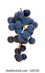 Concord Grapes