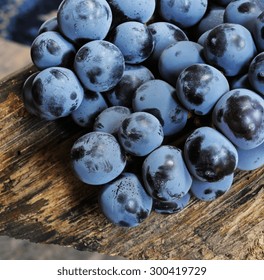 Concord Grapes Close Up