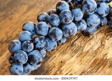 Concord Grapes Close Up