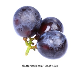 Concord Grapes Isolated On White