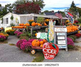 Concord, MA / USA - Oct 14, 2018: Charming New England Roadside Farm Stand Selling Pumpkins In The Fall. Family Run Farm, Established In 1923, Sells Corn, Apple Cider, Flowers And Other Produce.  