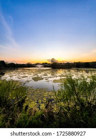 Concord, North Carolina Pond At Sunset