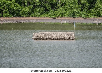 concrete block covered in oysters floats in a calm body of water, surrounded by mangrove trees. - Powered by Shutterstock