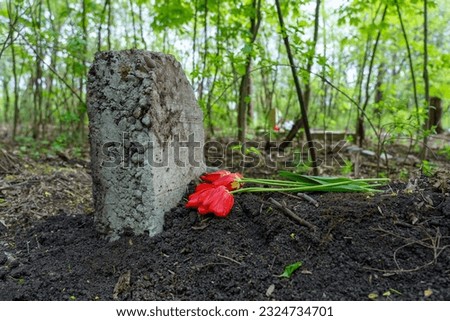 Concrete block as a tombstone in a pet cemetery, selective focus. Background