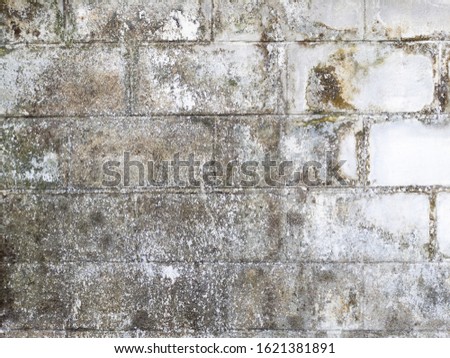 Concrete brick wall with water stains. Grunge and dity style.