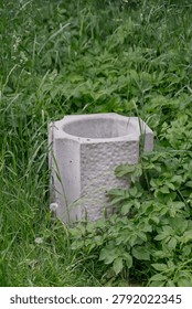 A concrete cylindrical structure surrounded by tall green grass and plants. The structure has a textured surface and is partially obscured by foliage.