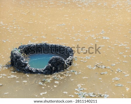 Concrete Drain Opening Surrounded by Turbid Water and Floating Algae