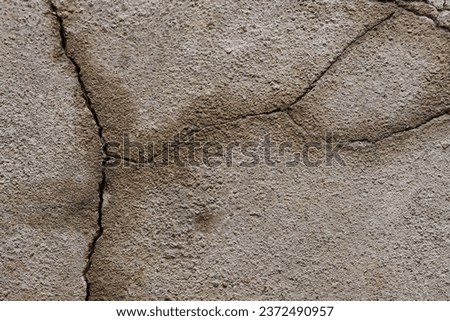 The concrete floor has cracks from the deterioration of the place.
