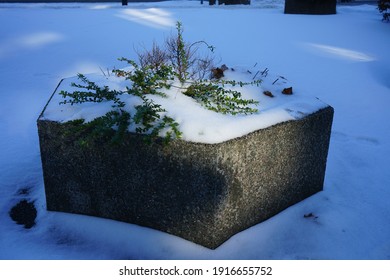 Concrete Flower Bed Under The Snow. Berlin, Germany