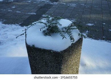 Concrete Flower Bed Under The Snow. Berlin, Germany