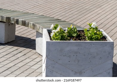 Concrete Flower Pot On Street