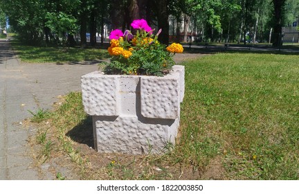 Concrete Flowerbed With Flowers On A City Street