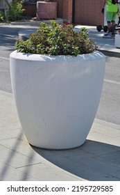 Concrete Flowerpot On The Sidewalk On A Summer Day