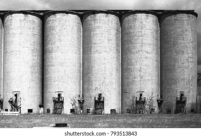 Concrete grain silos