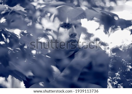 Image, Stock Photo The Soul Surfer