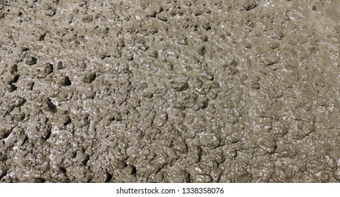 Concrete, A Masonry Material That Uses Cement To Bind Together Aggregate With Water, Which Starts The Chemical Reaction. 