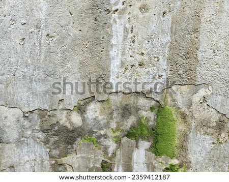 CONCRETE AND MOSSY WORN URBAN WALL - Old grungy dirty discolored broken cracked damaged weathered old cement stone wall background with closeup textured detail of green moss