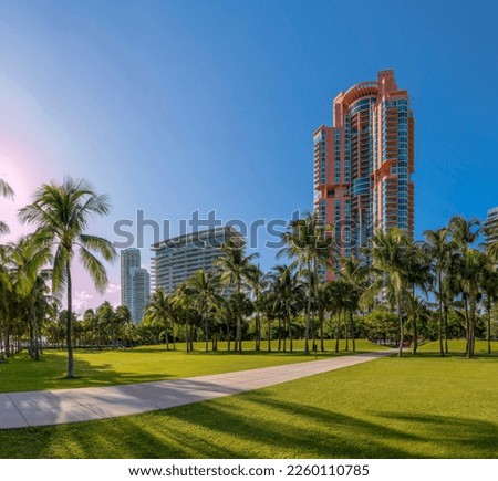 Concrete pathway in the middle of green lawn with palm trees at South Pointe Park in Miami, Florida. Concrete pavement on a park with views of multi-storey buildings against the sunny blue sky.