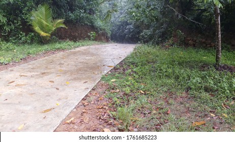 Concrete Pathway Through The Forest. Concrete Road In Wet Area.Rain Forest Walking Pathway In Sri Lanka.