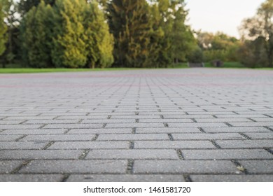 30++ Concrete pavers walnut creek zoo