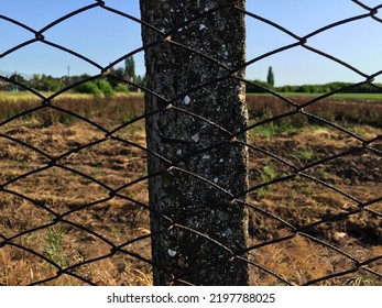 A concrete pole with faded areas from years of exposure to the open air. In front of the pole there is a wire fence, "chain-link mesh". Concept - reliability, durability. - Powered by Shutterstock