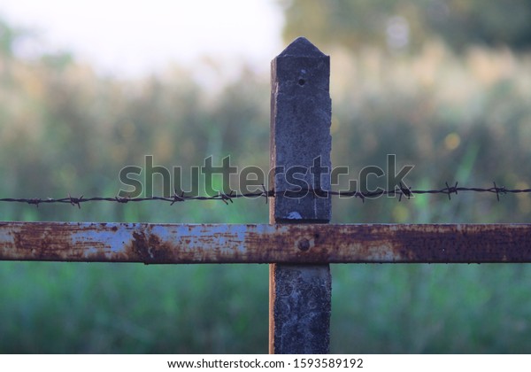 Concrete\
post with rusty metal and  barbed wire\
fence.