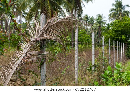 Concrete posts lined up build a fence of barbed wire in the jungle in Thailand