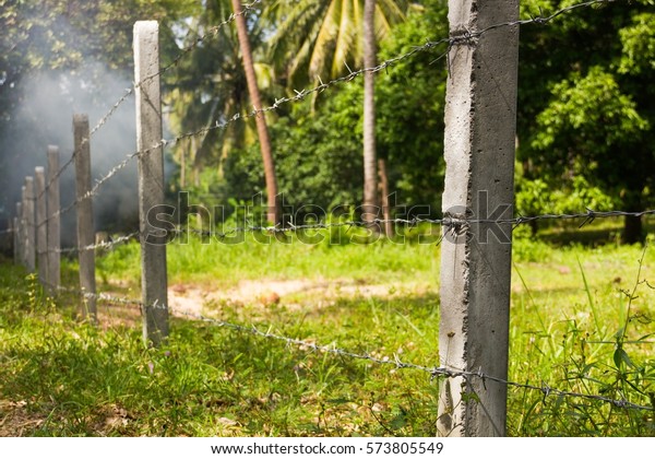 Concrete posts\
lined up build a fence of barbed wire in the jungle. Rural field\
protection, no trespassing\
concepts