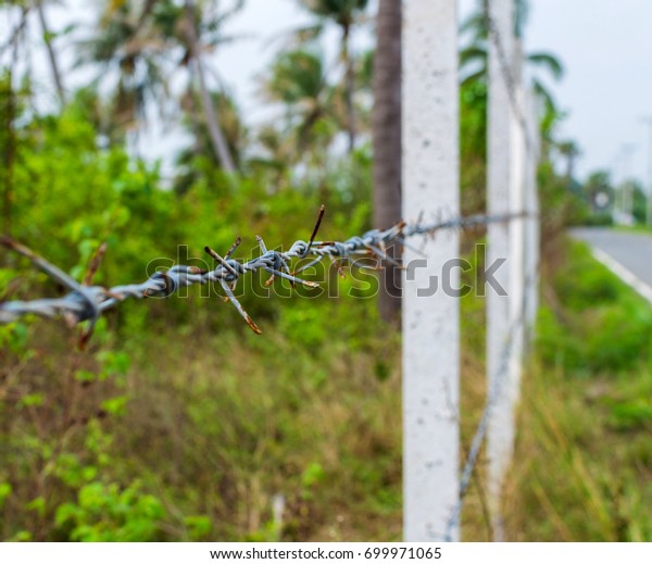 Concrete posts lined up build a fence of barbed\
wire in the jungle in\
Thailand