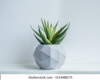 Concrete pot. Green succulent plant in modern geometric concrete planter on wooden shelf isolated on white background. - Powered by Shutterstock