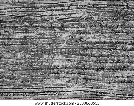 Concrete Relief. Rough Damaged Texture. Highly realistic background. Material rough and cracked surface of tree trunk texture.  Abstract grunge texture of grainy bark. Selective focus
