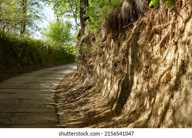 A concrete road runs along a ravine in the Lublin Upland, steep loess walls of the ravine are visible.