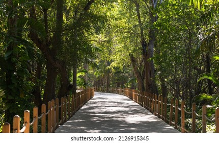 Concrete Road With Wooden Railings Goes Through A Rainforest. Dominican Republic Travel Photo