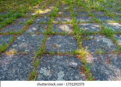 Concrete slabs overgrown with weeds 