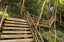 Concrete Stair In The Khao Yai Forest At Thailand