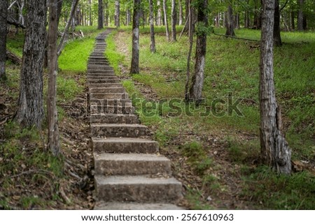 Similar – Image, Stock Photo Concrete steps with fall leaves
