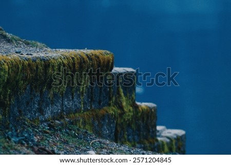 Similar – Image, Stock Photo Concrete steps with fall leaves