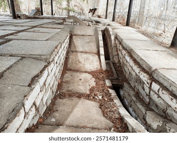 Concrete structures serve as training burrows for hunting dogs, facilitating their instinctual behaviors in a natural setting.