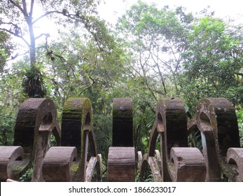 concrete structures surrounded by vegetation