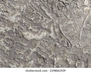 Concrete Texture Similar To The Surface Of The Moon Suitable For The Background