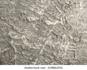 Concrete Texture Similar To The Surface Of The Moon Suitable For The Background