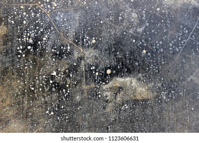 Concrete Texture White Paint Speckles Stock Photo 1123606631 | Shutterstock