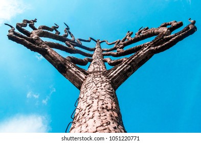 A concrete tree with steps 