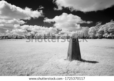 Similar – Image, Stock Photo Appearance in the garden