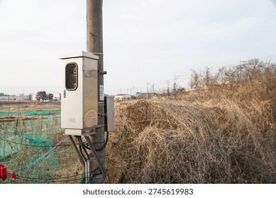 Concrete utility pole with electrical boxes against dry, tangled vegetation and distant industrial buildings