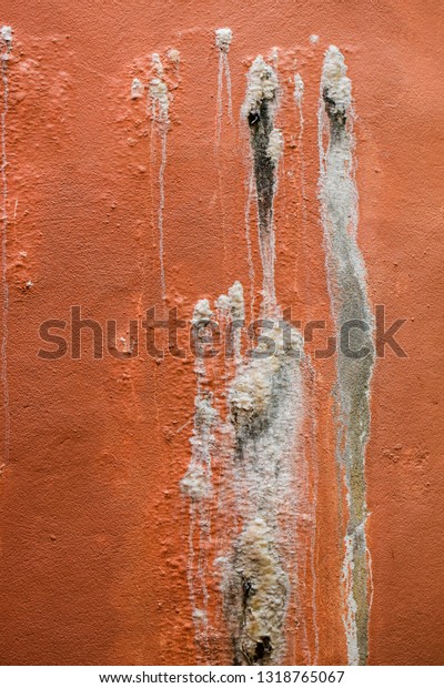 Concrete wall with\
efflorescence salt seepage.\
