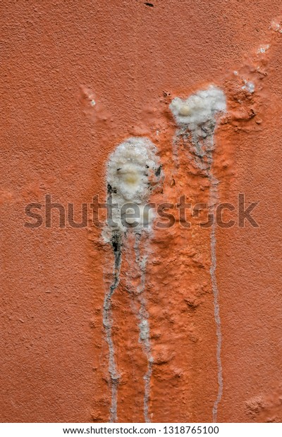 Concrete wall with\
efflorescence salt seepage.\
