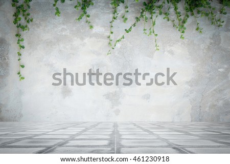 Concrete wall and concrete floor with ornamental plants or ivy or garden tree.